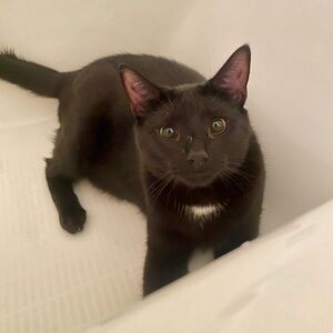 Meet your Posher, Kendyll